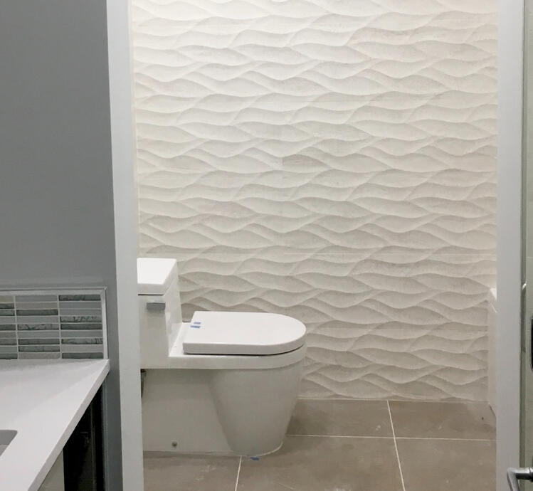 Installation of toilet and textured wall tile
